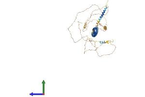 AlphaFold protein structure predicition of Mouse Recombinant Lca5 Protein, UniprotID Q80ST9