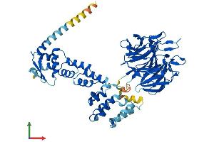 Protein Structure (PS) image for Kelch-Like 7 (KLHL7) (AA 1-586) protein (His tag) (ABIN7558900)