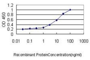 Detection limit for recombinant GST tagged GLMN is approximately 0. (GLMN 抗体  (AA 1-594))