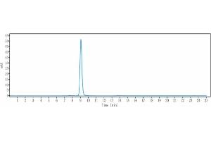 The purity of Anti-CD36 Reference Antibody (Ona Thera Patent Anti-Cd36) is more than 95 % , determined by SEC-HPLC.