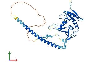 Protein Structure (PS) image for tRNA Splicing Endonuclease 34 Homolog (TSEN34) (AA 1-316) protein (His tag) (ABIN7564403)