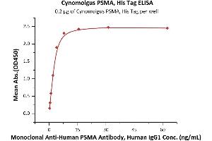 Immobilized Cynomolgus PSMA, His Tag (ABIN6973204) at 2 μg/mL (100 μL/well) can bind Monoclonal A PSMA Antibody, Human IgG1 with a linear range of 0.