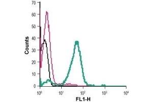 Cell surface detection of CRTH2 in live intact mouse P815 mast cells: (black line) Cells. (Prostaglandin D2 Receptor 2 (PTGDR2) (AA 270-283), (Extracellular) 抗体)