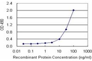 Sandwich ELISA detection sensitivity ranging from 1 ng/mL to 100 ng/mL.