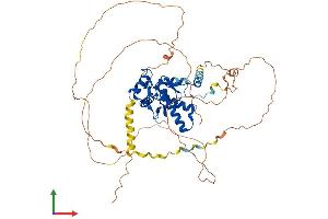 Protein Structure (PS) image for Nuclear Factor I/A (NFIA) (AA 1-532) protein (His tag) (ABIN7556874)