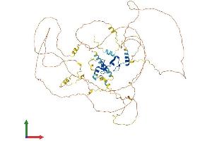 AlphaFold protein structure predicition of Mouse Recombinant Lima1 Protein, UniprotID Q9ERG0
