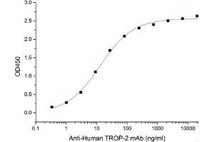ELISA image for Tumor-Associated Calcium Signal Transducer 2 (TACSTD2) (Active) protein (His tag) (ABIN7319882)