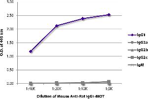 ELISA plate was coated with purified rat IgG1, IgG2a, IgG2b, IgG2c, and IgM. (小鼠 anti-大鼠 IgG1 (Fc Region) Antibody (Biotin))