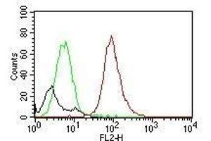 Flow Cytometry of NIH/3T3 cells. (CD63 抗体)