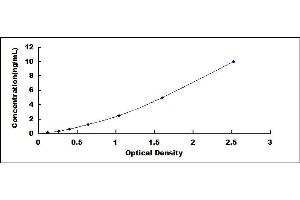 Typical standard curve (Claudin 4 ELISA 试剂盒)