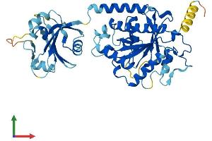 Protein Structure (PS) image for Interferon-Induced Protein 44 (IFI44) (AA 1-444) protein (His tag) (ABIN7548546)
