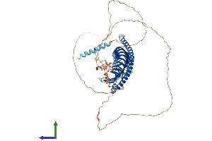 Protein Structure (PS) image for Junctophilin 1 (JPH1) (AA 1-661) protein (His tag) (ABIN7554228)