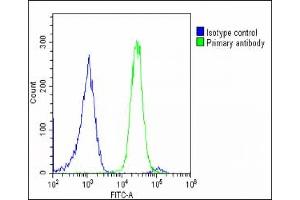 Overlay histogram showing U-2 OS cells stained with (ABIN655487 and ABIN2845009)(green line). (LMTK3 抗体  (N-Term))