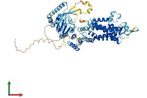 Protein Structure (PS) image for ATP-Binding Cassette, Sub-Family G (WHITE), Member 8 (ABCG8) (AA 1-673) protein (His tag) (ABIN7561288)