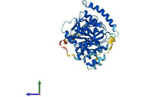 AlphaFold protein structure predicition of Mouse Recombinant B4gat1 Protein, UniprotID Q8BWP8