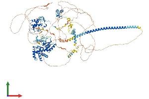 Protein Structure (PS) image for SWI/SNF Related, Matrix Associated, Actin Dependent Regulator of Chromatin, Subfamily C, Member 2 (SMARCC2) (AA 1-1214) protein (His tag) (ABIN7555508)