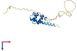AlphaFold protein structure predicition of Human Recombinant SAMD10 Protein, UniprotID Q9BYL1