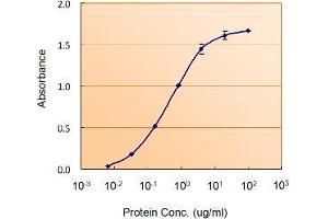 Image no. 4 for anti-Glial Fibrillary Acidic Protein (GFAP) (C-Term) antibody (ABIN185730)