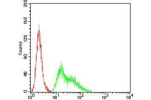 Flow Cytometry (FACS) image for anti-Potassium Voltage-Gated Channel, Shal-Related Subfamily, Member 2 (KCND2) (AA 27-184) antibody (ABIN5542461)
