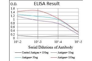 Black line: Control Antigen (100 ng), Purple line: Antigen(10 ng), Blue line: Antigen (50 ng), Red line: Antigen (100 ng), (XRCC6 抗体  (AA 6-214))