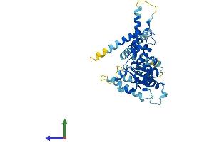 Protein Structure (PS) image for ATPase Family, AAA Domain Containing 1 (ATAD1) (AA 1-361) protein (His tag) (ABIN7552533)
