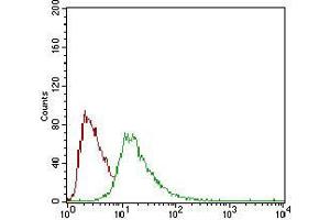 Flow cytometric analysis of HepG2 cells using CD93 mouse mAb (green) and negative control (red). (CD93 抗体  (AA 474-535))