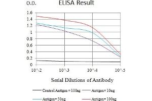 ELISA image for anti-Nuclear Factor of kappa Light Polypeptide Gene Enhancer in B-Cells 2 (NFKB2) (AA 712-900) antibody (ABIN7193353)