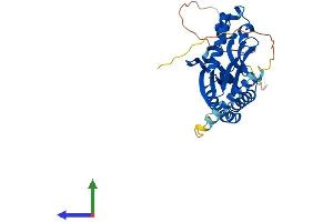 AlphaFold protein structure predicition of Mouse Recombinant Akap7 Protein, UniprotID Q7TN79