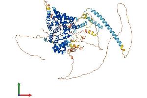 AlphaFold protein structure predicition of Human Recombinant TBC1D5 Protein, UniprotID Q92609