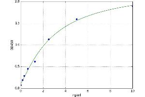 A typical standard curve (Claudin 11 ELISA 试剂盒)