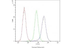 Flow Cytometry (FACS) image for anti-Insulin-Degrading Enzyme (IDE) antibody (ABIN5708390)