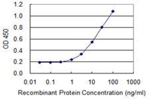 Detection limit for recombinant GST tagged SNX8 is 0. (SNX8 抗体  (AA 1-465))