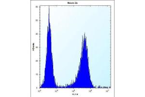 Flow Cytometry (FACS) image for anti-Lysophospholipase Protein 1 (LYPL1) antibody (ABIN2997640) (LYPL1 抗体)