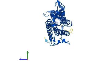 Protein Structure (PS) image for Trans-2,3-Enoyl-CoA Reductase (TECR) (AA 1-308) protein (His tag) (ABIN7560741)