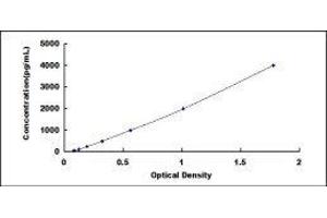 ELISA image for Superoxide Dismutase 1, Soluble (SOD1) ELISA Kit (ABIN415110)