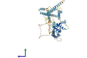 Protein Structure (PS) image for RUN Domain Containing 1 (RUNDC1) (AA 1-615) protein (His tag) (ABIN7556950)