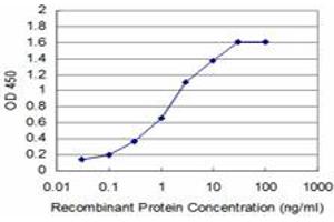 Detection limit for recombinant GST tagged DHFR is approximately 0. (Dihydrofolate Reductase 抗体  (AA 88-187))