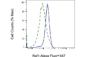 Validation of Raf1 knockdown using flow cytometry. (Recombinant RAF1 抗体)
