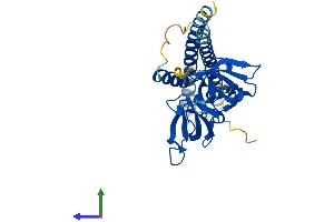 AlphaFold protein structure predicition of Mouse Recombinant Sgf29 Protein, UniprotID Q9DA08