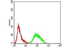 Flow cytometric analysis of HeLa cells using PRDM4 mouse mAb (green) and negative control (red). (PRDM4 抗体  (AA 476-575))