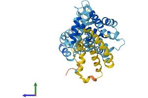 Protein Structure (PS) image for DnaJ (Hsp40) Homolog, Subfamily C, Member 22 (DNAJC22) (AA 1-341) protein (His tag) (ABIN7547091)