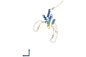 Protein Structure (PS) image for Helt BHLH Transcription Factor (HELT) (AA 1-242) protein (His tag) (ABIN7548290)