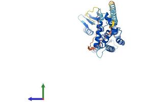 AlphaFold protein structure predicition of Human Recombinant MTX3 Protein, UniprotID Q5HYI7 (MTX3 Protein (AA 1-312) (His tag))