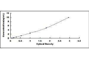 Typical standard curve (TRF2 ELISA 试剂盒)