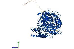 Protein Structure (PS) image for Folate Hydrolase (Prostate-Specific Membrane Antigen) 1 (FOLH1) (AA 1-750) protein (His tag) (ABIN7553951)