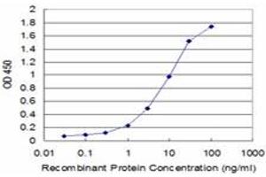 Detection limit for recombinant GST tagged LIPF is approximately 0. (LIPF 抗体  (AA 299-398))