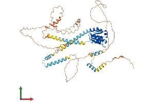 Protein Structure (PS) image for Nuclear Receptor Coactivator 5 (NCOA5) (AA 1-579) protein (His tag) (ABIN7549749)
