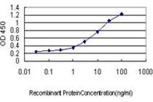 Detection limit for recombinant GST tagged PRKAB1 is approximately 0.
