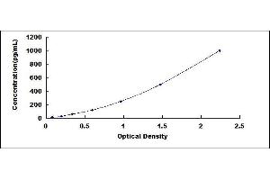 Image no. 1 for Anti-Mullerian Hormone (AMH) ELISA Kit (ABIN5664992)