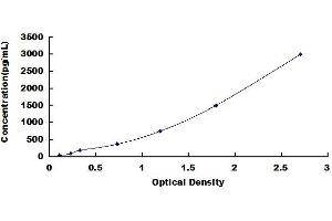 HLA-DR-gamma (CD74) ELISA Kit